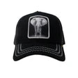 Gold Star Elephant Trucker Hat – Black Streetwear Cap